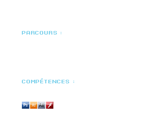 Fabien Vassigh - CV